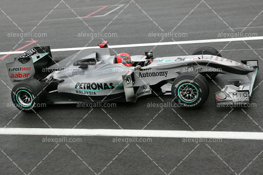 F1 2010 Michael Schumacher - Mercedes - 20100075
