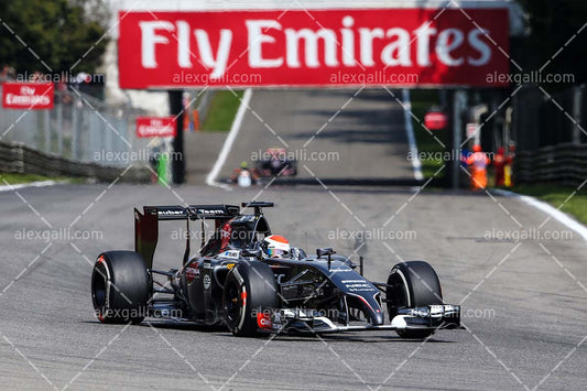 F1 2014 Adrian Sutil - Sauber - 20140112
