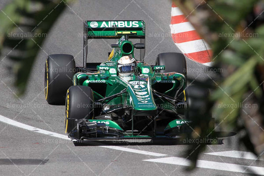 F1 2013 Giedo van der Garde - Catheram - 20130048