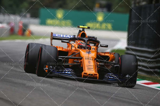 2018 Stoffel Vandoorne - McLaren - 20180133