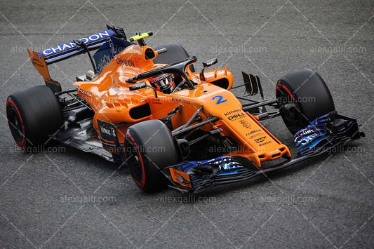 2018 Stoffel Vandoorne - McLaren - 20180134