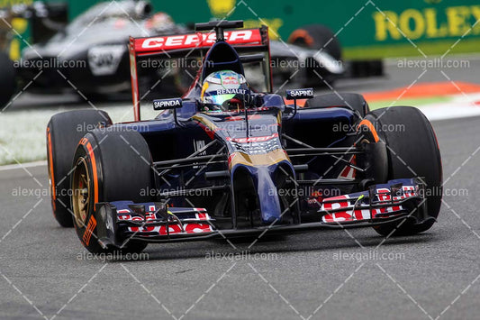 F1 2014 Jean-Eric Vergne - Toro Rosso - 20140116