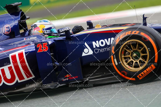 F1 2014 Jean-Eric Vergne - Toro Rosso - 20140117