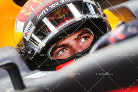 F1 2017 Max Verstappen - Red Bull - 20170106