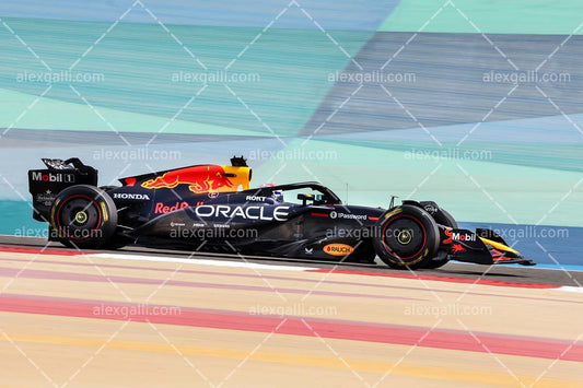 F1 2025 Max Verstappen - Red Bull - 202500223