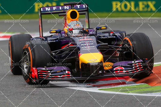 F1 2014 Sebastian Vettel - Red Bull - 20140128
