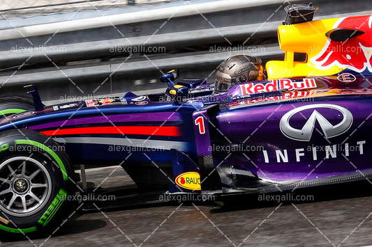 F1 2014 Sebastian Vettel - Red Bull - 20140119