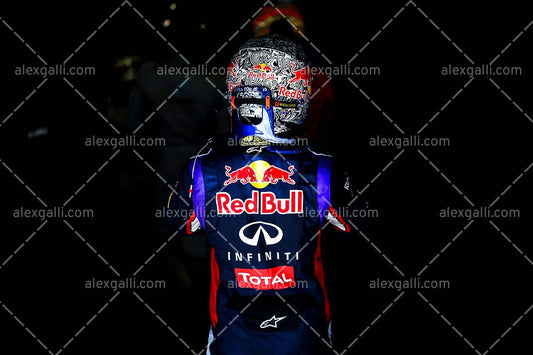 F1 2014 Sebastian Vettel - Red Bull - 20140122