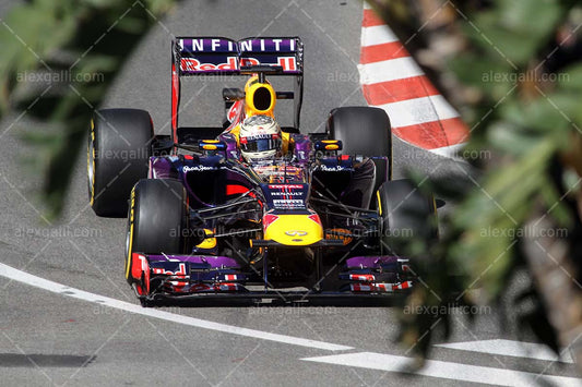F1 2013 Sebastian Vettel - Red Bull - 20130055