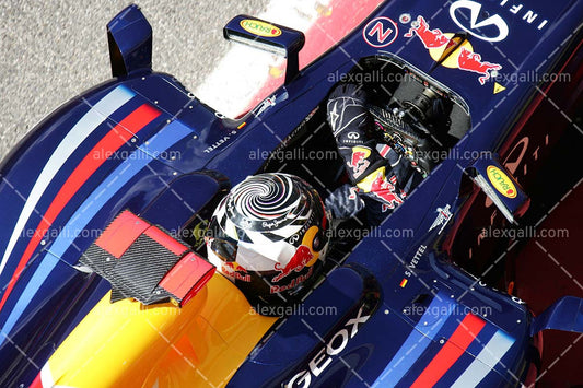 F1 2012 Sebastian Vettel - Red Bull - 20120100