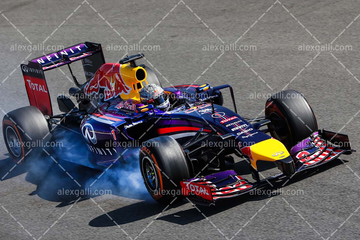 F1 2014 Sebastian Vettel - Red Bull - 20140123