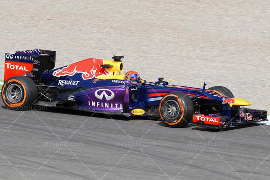 F1 2013 Sebastian Vettel - Red Bull - 20130056