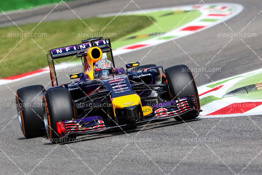 F1 2014 Sebastian Vettel - Red Bull - 20140124