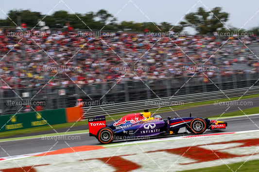 F1 2014 Sebastian Vettel - Red Bull - 20140125