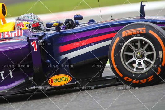 F1 2014 Sebastian Vettel - Red Bull - 20140126