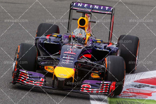 F1 2014 Sebastian Vettel - Red Bull - 20140127