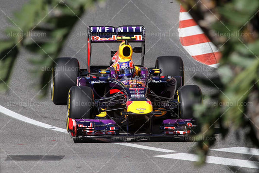 F1 2013 Mark Webber - Red Bull - 20130057