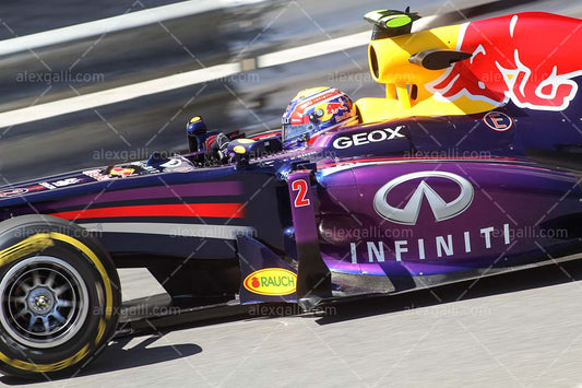 F1 2013 Mark Webber - Red Bull - 20130058