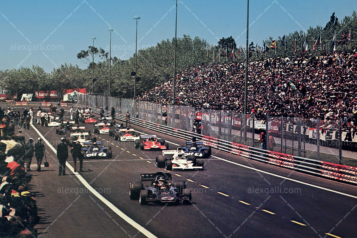 F1 1973 Ronnie Peterson - Lotus 72D - 19730007