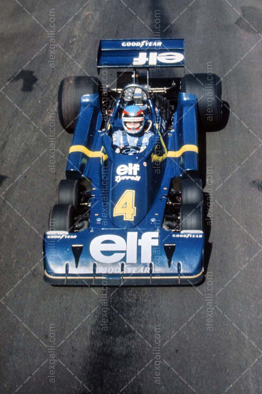 F1 1976 Patrick Depailler - Tyrrell P34 - 19760078