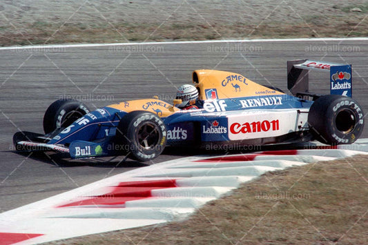 F1 1991 Riccardo Patrese - Williams FW14 - 19910049