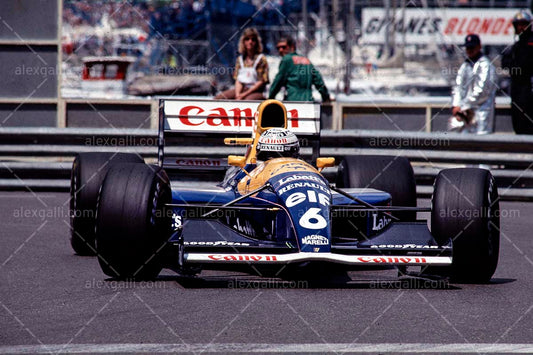 F1 1991 Riccardo Patrese - Williams FW14 - 19910050