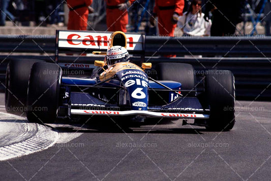 F1 1991 Riccardo Patrese - Williams FW14 - 19910051
