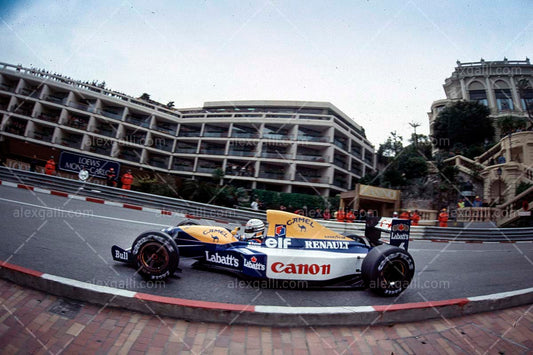 F1 1991 Riccardo Patrese - Williams FW14 - 19910053