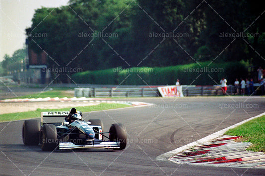 F1 1995 Heinz-Harald Frentzen - Sauber C14 - 19950029
