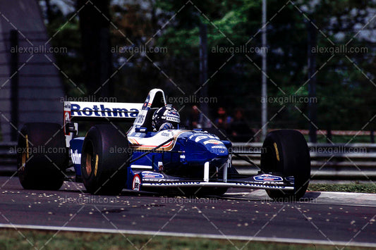 F1 1995 Damon Hill - Williams FW17 - 19950047