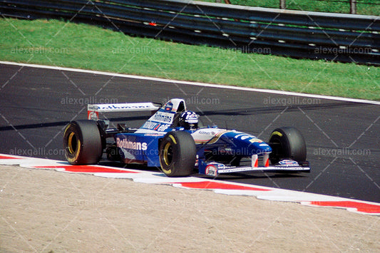 F1 1995 Damon Hill - Williams FW17 - 19950052