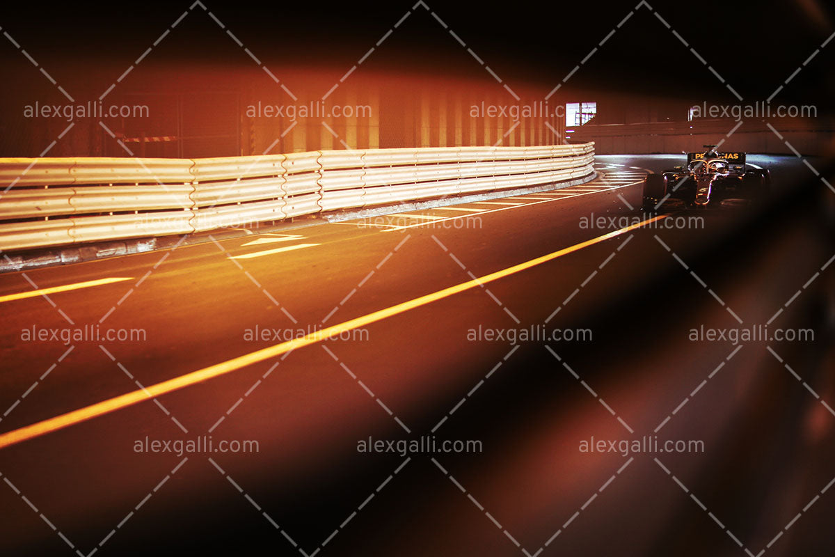 F1 2019 Lewis Hamilton - Mercedes W10 - 20190018