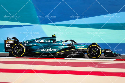 F1 2023 - 00 Pre Season - Fernando Alonso  - Aston Martin - 2300002