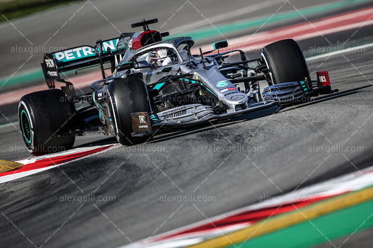 F1 2020 Lewis Hamilton - Mercedes W11 - 20200027
