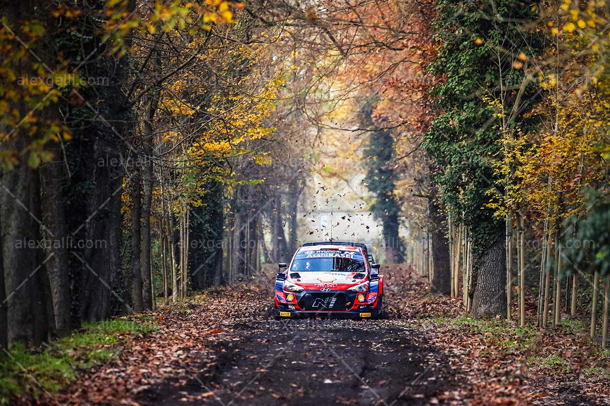 WRC 2021 Neuville-Wydaeghe - Hyundai - WRC210052
