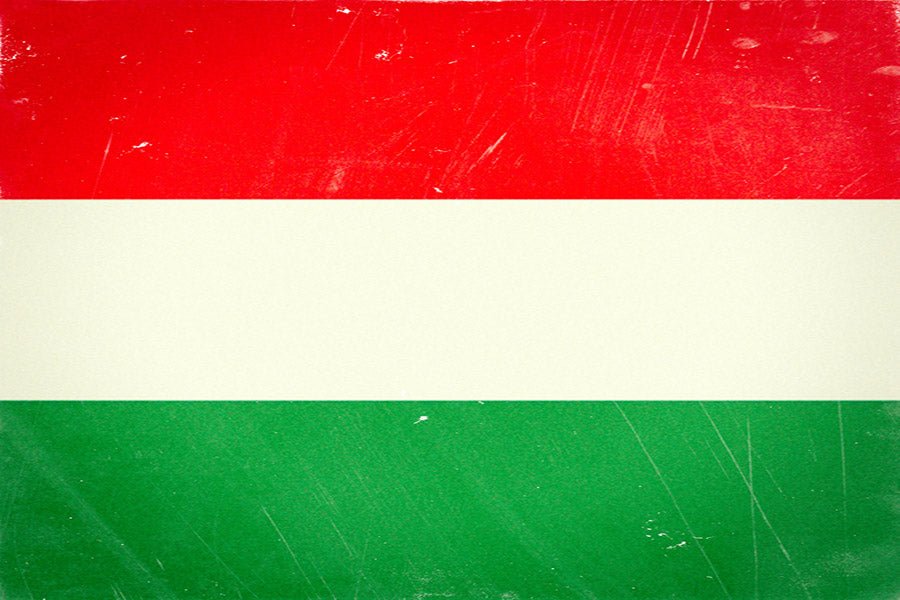 F1 2023 R11 HUNGARY GP