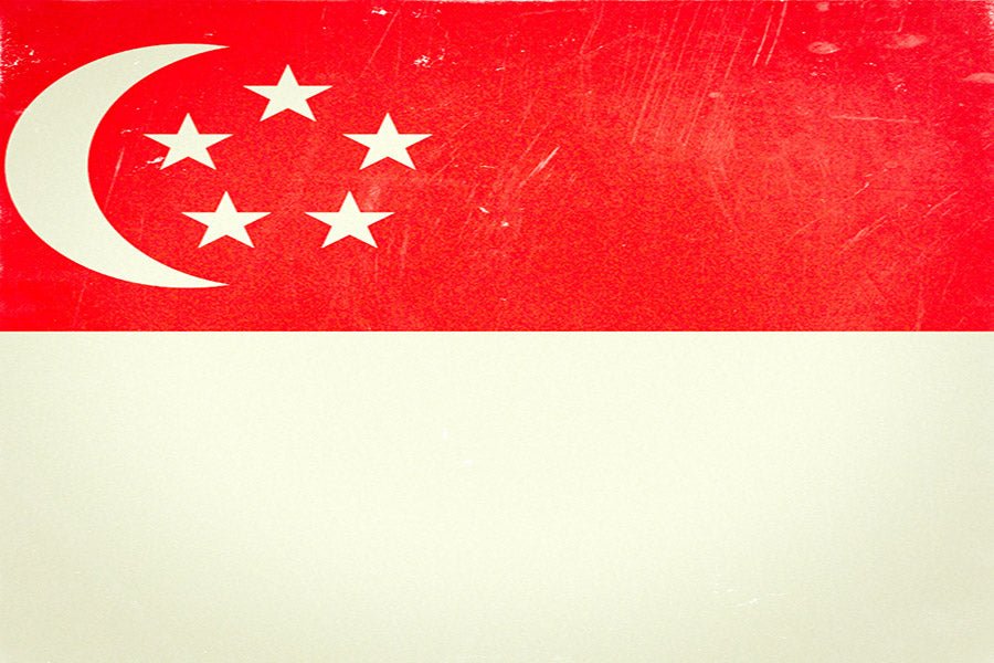 F1 2023 R15 SINGAPORE GP