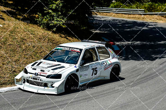 29 LUZZI SAMBUCINA 2025 | # 075 Tortora