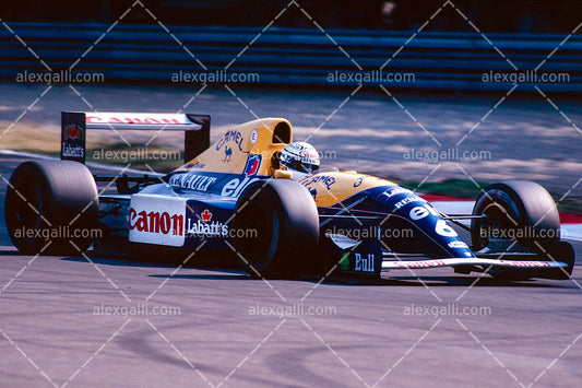 F1 1991 Riccardo Patrese - Williams - 19910086