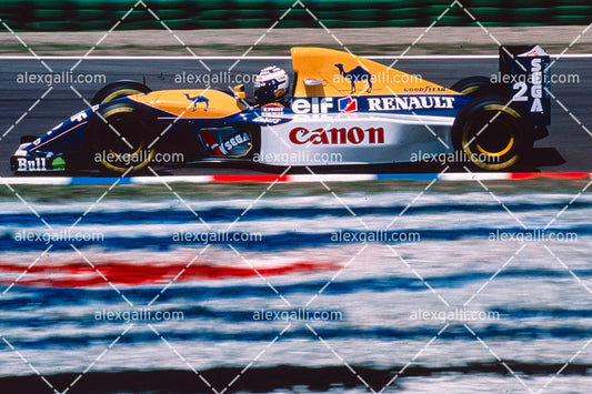 F1 1993 Alain Prost - Williams FW15C - 19930046