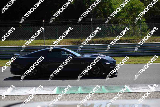 TD 190726 MATTINO - 529