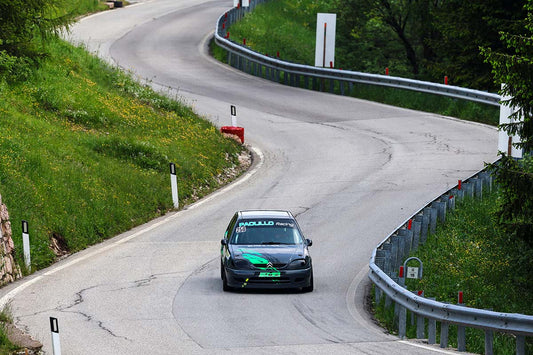 74 TRENTO BONDONE 2025 | # 258 Pinto