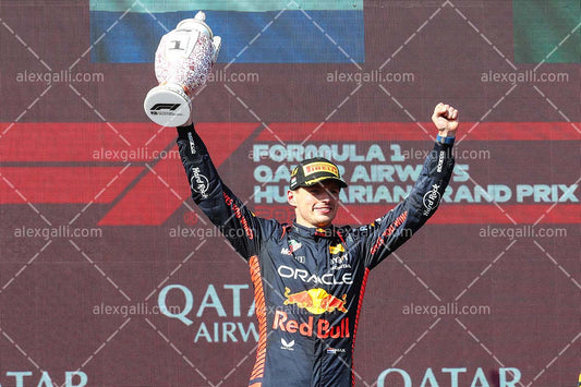 F1 2023 - 11 Hungary GP - Max Verstappen - Red Bull - 2311006
