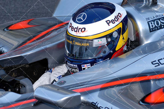 F1 2006 Pedro de la Rosa - McLaren - 20060036