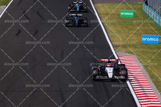 F1 2023 - 11 Hungary GP - Daniel Ricciardo - Alpha Tauri - 2311022