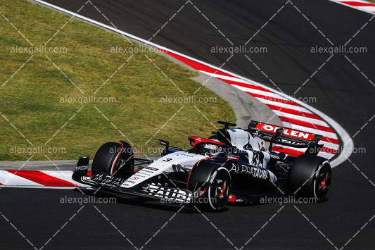 F1 2023 - 11 Hungary GP - Daniel Ricciardo - Alpha Tauri - 2311023