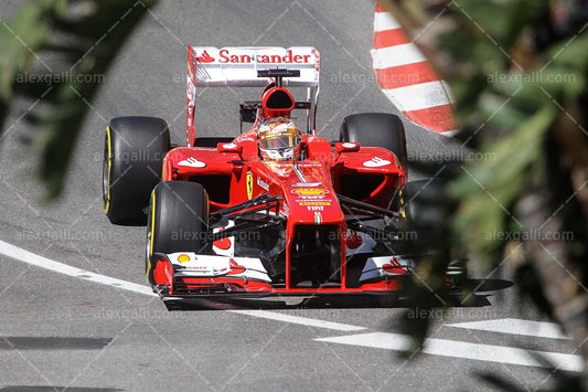 F1 2013 Fernando Alonso - Ferrari - 20130001