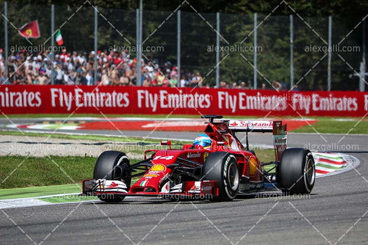 F1 2014 Fernando Alonso - Ferrari - 20140003