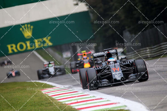 F1 2016 Fernando Alonso - McLaren - 20160005