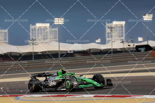 F1 2025 Gabriel Bortoleto - Sauber - 202500134